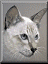 Benutzeravatar